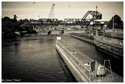 Ballard Locks-6466.jpg