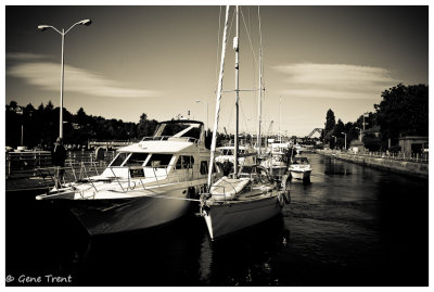 Ballard Locks-6601.jpg