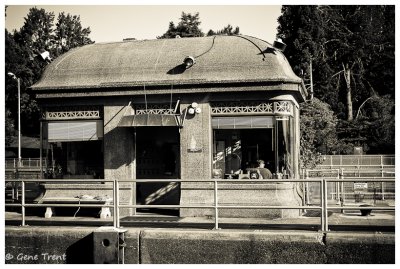 Ballard Locks-6477.jpg