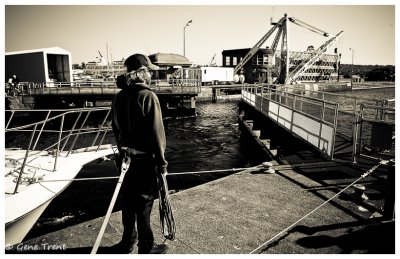 Ballard Locks-6608.jpg