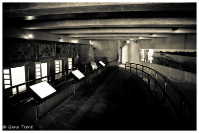 Ballard Locks-6535.jpg