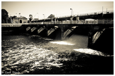 Ballard Locks-6542.jpg