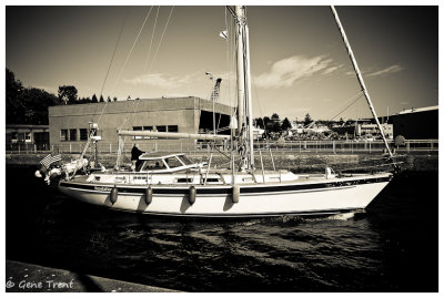 Ballard Locks-6628.jpg