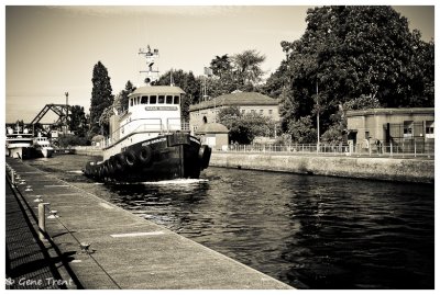 Ballard Locks-6633.jpg
