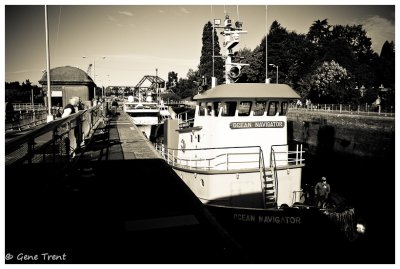 Ballard Locks-6568.jpg