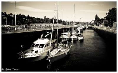 Ballard Locks