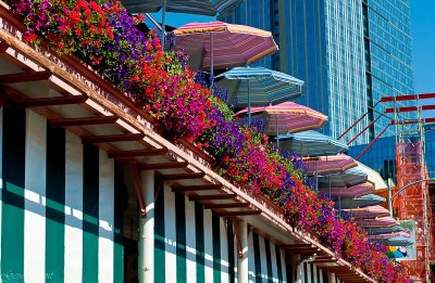 Umbrella Color-1553.jpg