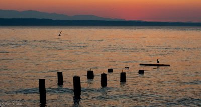 Edmonds sunset-1677.jpg