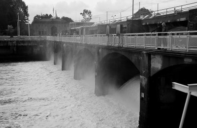 The Ballard Locks-2918.jpg