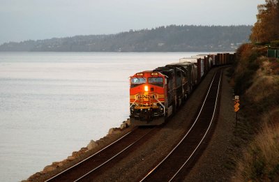 Edmonds Train