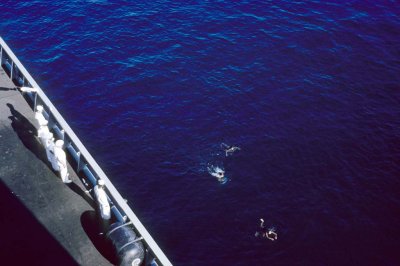 Local Coin Divers