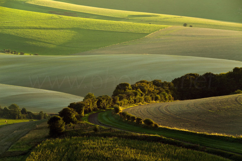 South Downs At Sundown