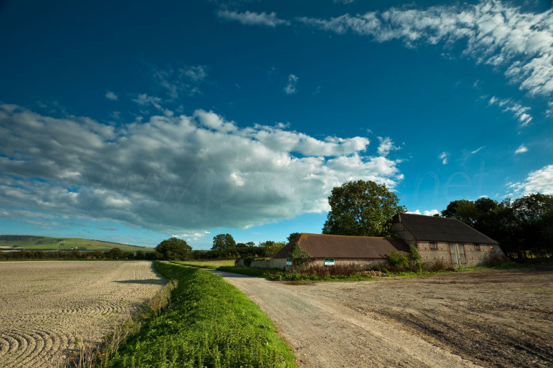 Rural Sussex