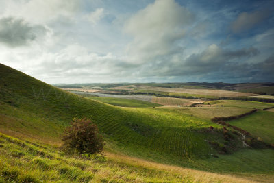 On the Ridge