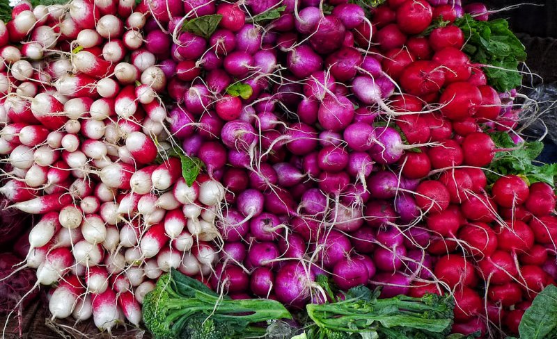 Wall-o-Radishes<br> inframan
