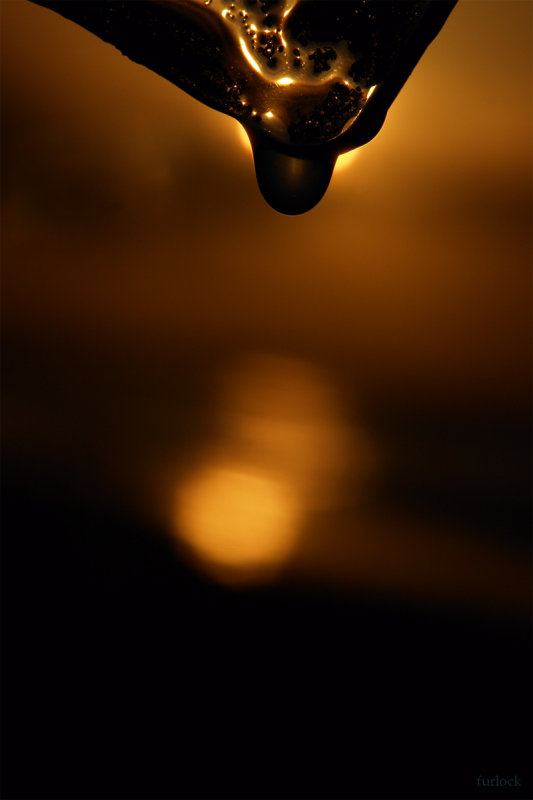 The alchemy of photography by Miguel Furlock
