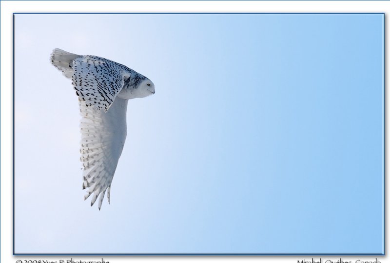 Fly Away ...<br><b><i>7th Place</i></b>