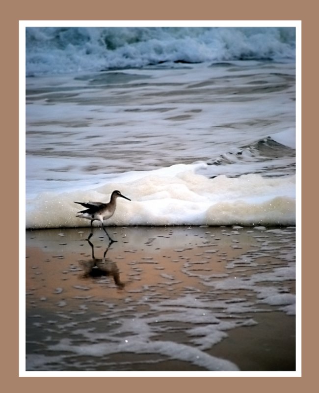 The Shadow of Your Smile<br>by Kathy Palmer aka Sam Piper