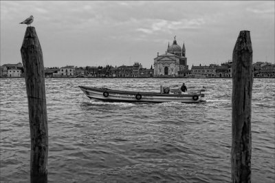 _DSC9536bw_small.jpg