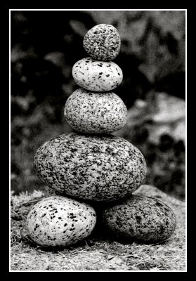 Stacking Stones  pengu1n