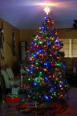 O Christmas Tree*