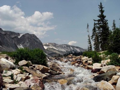 Medicine Bow