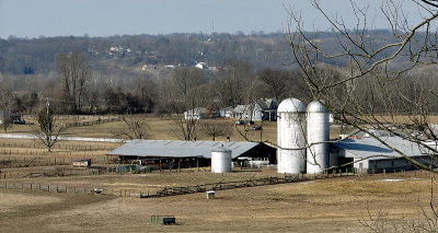 Kentucky Farm in Winter