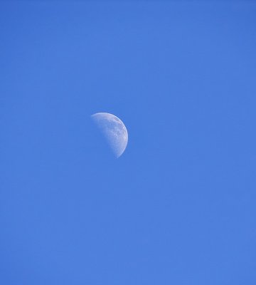 Mid-day Minimal Moon  Original