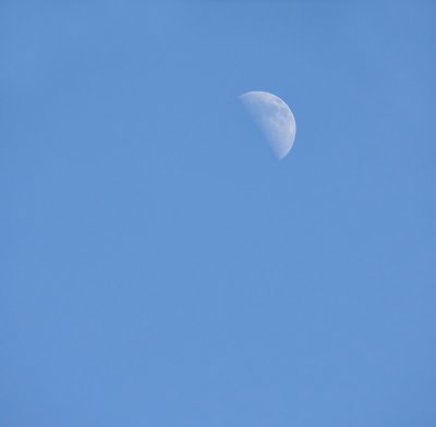 Mid-day Minmal Moon ll