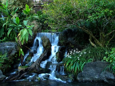 THE TRICKLE DOWN EFFECT by Warbler