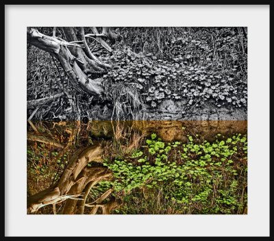 landscape dreams (itself)