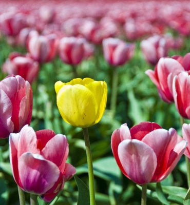 be different...