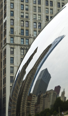 reflections in a bean