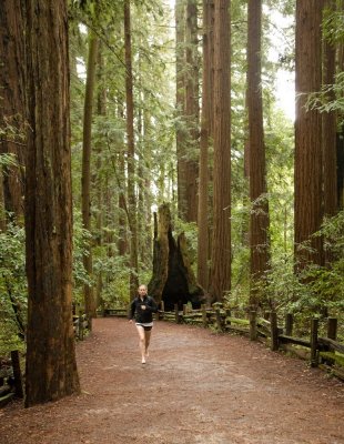 Rad Run - in the Redwoods