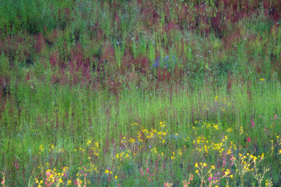 Sunset Crater is Alive With Color...(Aug, Sept 2012)