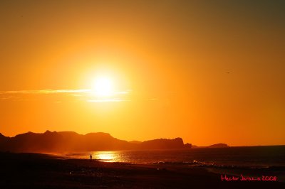 DSC_1880.jpg