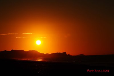 DSC_1902.jpg