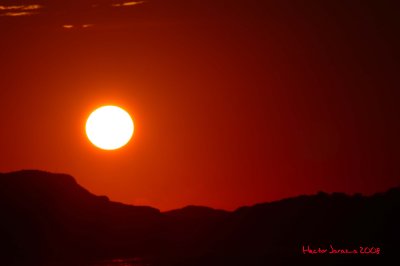 DSC_1910.jpg