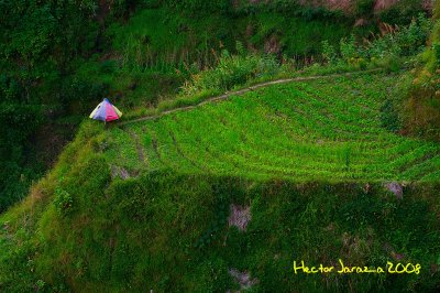 Banaue Ifugao