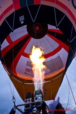 Hot Air Balloon - 2009