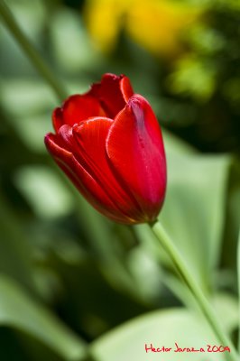 _DSC9697.jpg