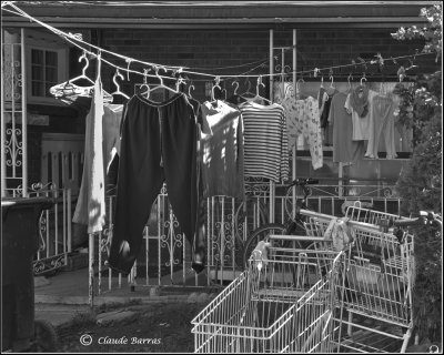 Laundry day
