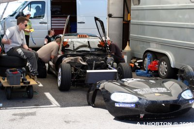 IMG_2393.jpg