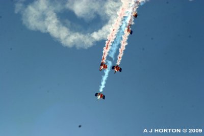 IMG_2494.jpg