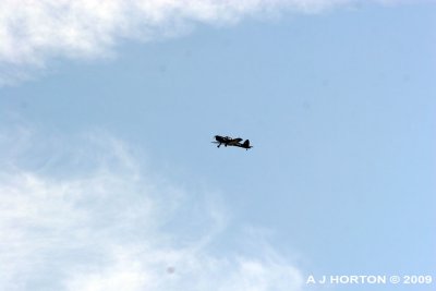 IMG_2630.jpg
