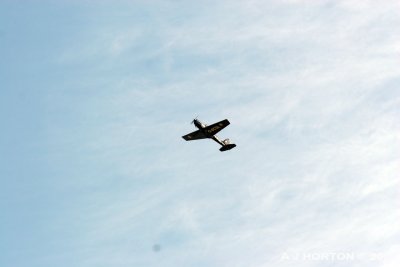IMG_2631.jpg