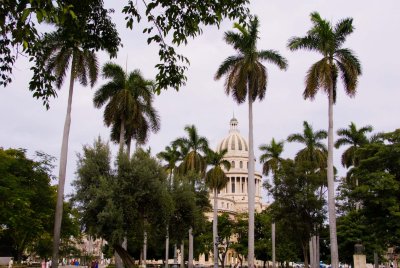 Cuba, La Havanne, Las Terrazas-1196.jpg