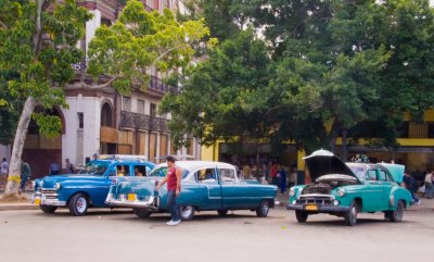 Cuba, La Havanne, Las Terrazas-1204.jpg