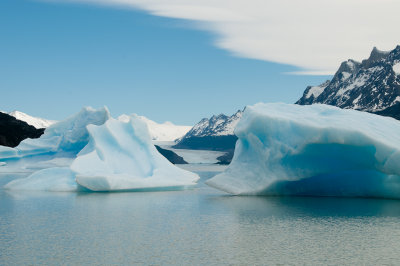 Patagonian Icebergs  by Steve Blanchard