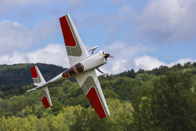 Flying RC Planes by Ray Meltzer
